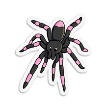Laden Sie das Bild in den Galerie-Viewer, Spinne | Nachtaktive Kreaturen | 3 Zoll wasserdichter Aufkleber