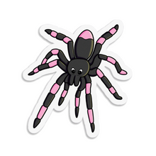 Load image into Gallery viewer, Spider | Nocturnal Creatures | 3-inch Waterproof Sticker
