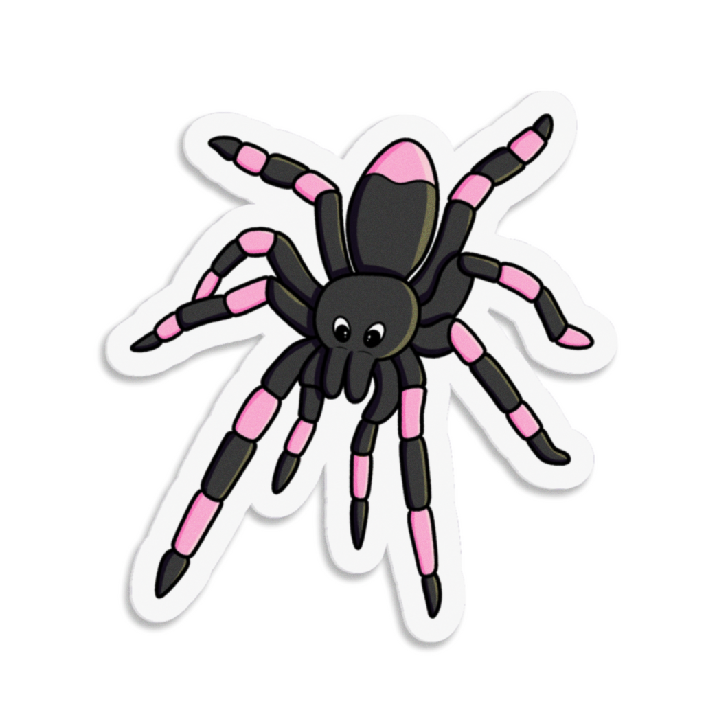 Spider | Nocturnal Creatures | 3-inch Waterproof Sticker