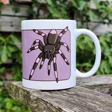 Load image into Gallery viewer, Spider | Nocturnal Creatures | Ceramic Mug - Scaredy Cat Studio
